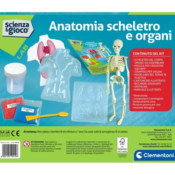 Anatomia Scheletro e Organi