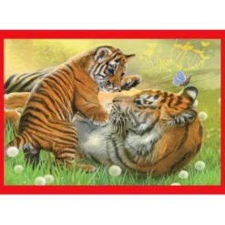 Baby Cuddles - 1x12 + 1x16 + 1x20 + 1x24 pezzi