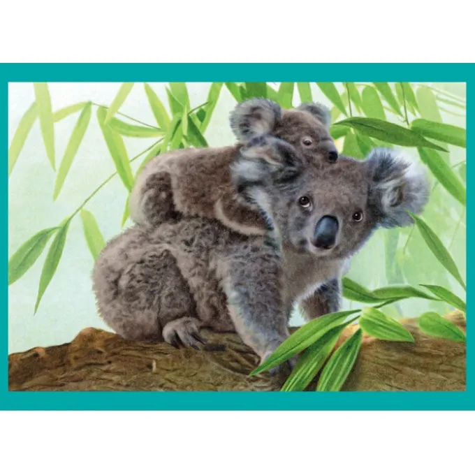 Baby Cuddles - 1x12 + 1x16 + 1x20 + 1x24 pezzi