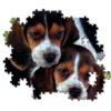 Close together - 500 pezzi