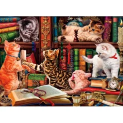 Curious Whiskers - 1000 pezzi