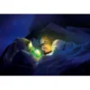 Fiocco, il mio Proiettore d'Aurora Boreale