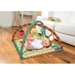 Garden of Happiness Play Gym