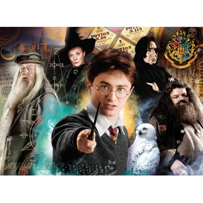 Harry Potter - 500 pezzi