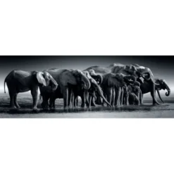 Herd of Giants - 1000 pezzi