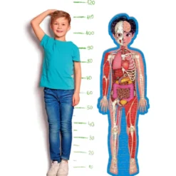Il Corpo Umano