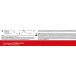 L'orchestra Salterina
