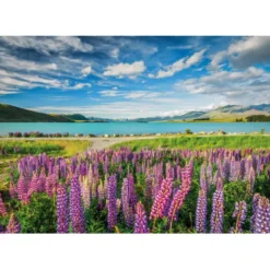 Lupins at Lake Tekapo - 1500 pezzi