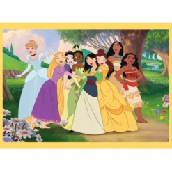 Princess - 1x12 + 1x16 + 1x20 + 1x24 pezzi