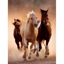 Running Horses - 1000 pezzi