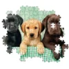 Three Labs - 1000 pezzi
