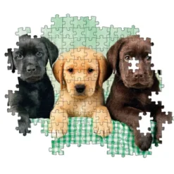 Three Labs - 1000 pezzi